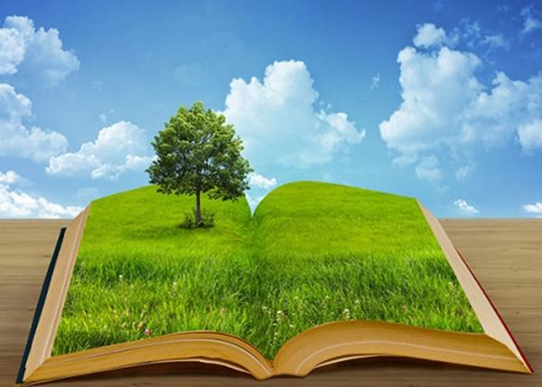 一企一策治理方案